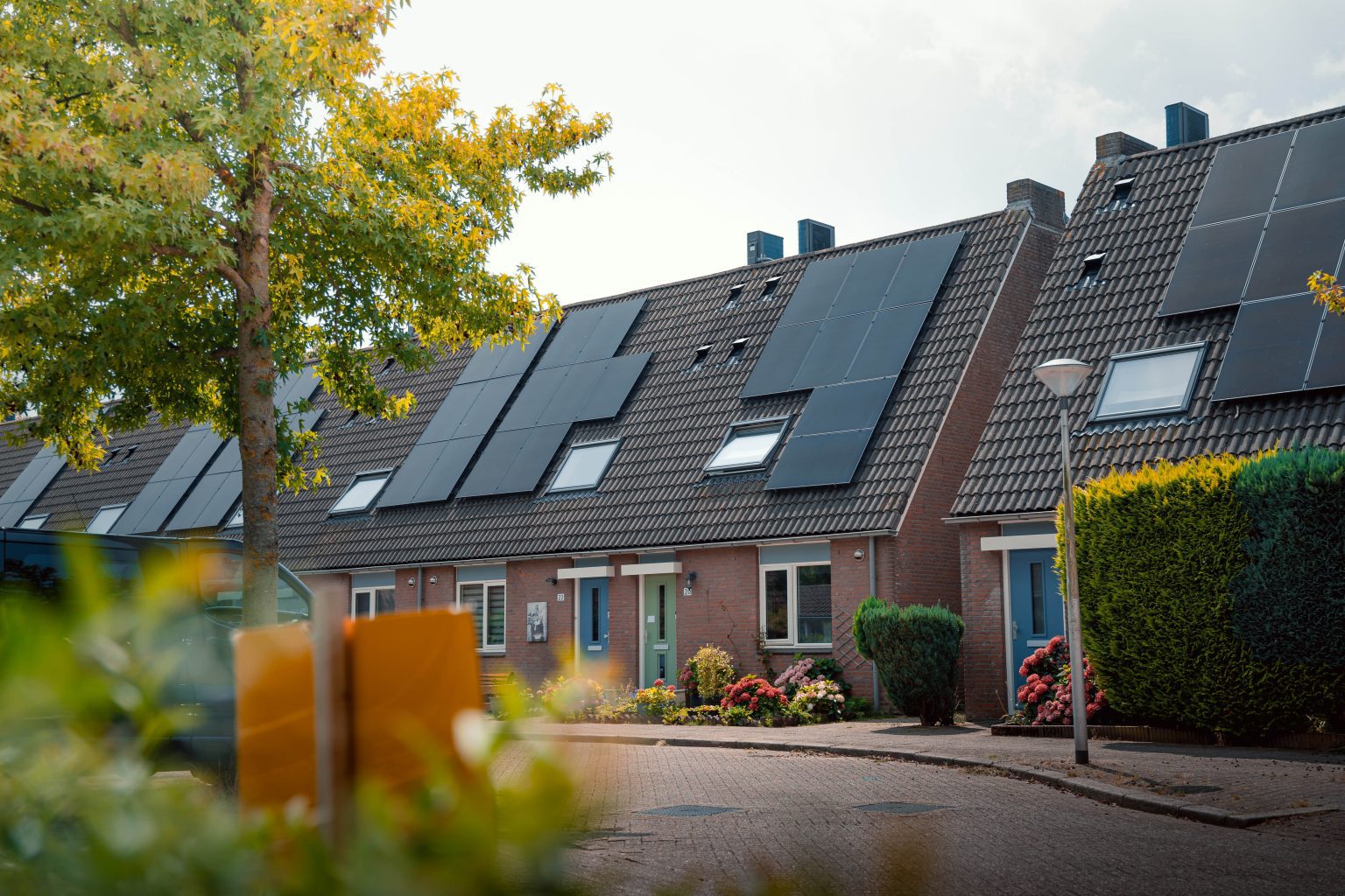 _DSC4187 downgrade (3MB)